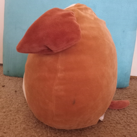 A cute squishmallow🐶 - Picture 2 of 5